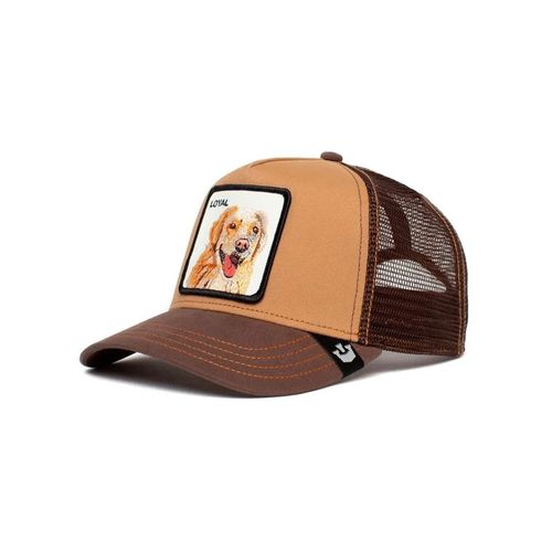 Gorra Goorin The Loyal Dog