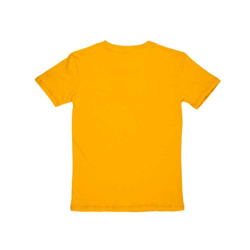 Remera DC Shoes Star Pilot Niño