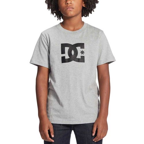 Remera DC Shoes Star Niño