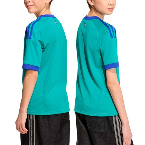 Camiseta Adidas Originals AFA Alternativa Arquero Selección Argentina 26