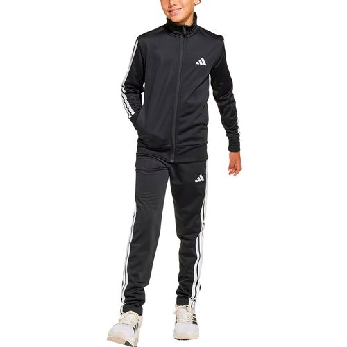Conjunto Adidas Training Essentials