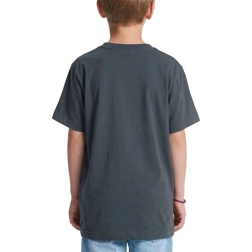 Remera Dc Shoes Star Gris